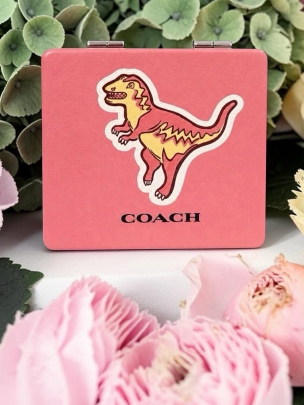 Coach Japan Release Rexy Mirror New